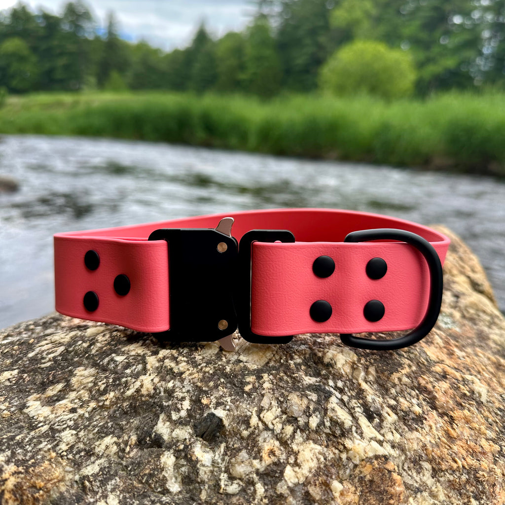 echo collar