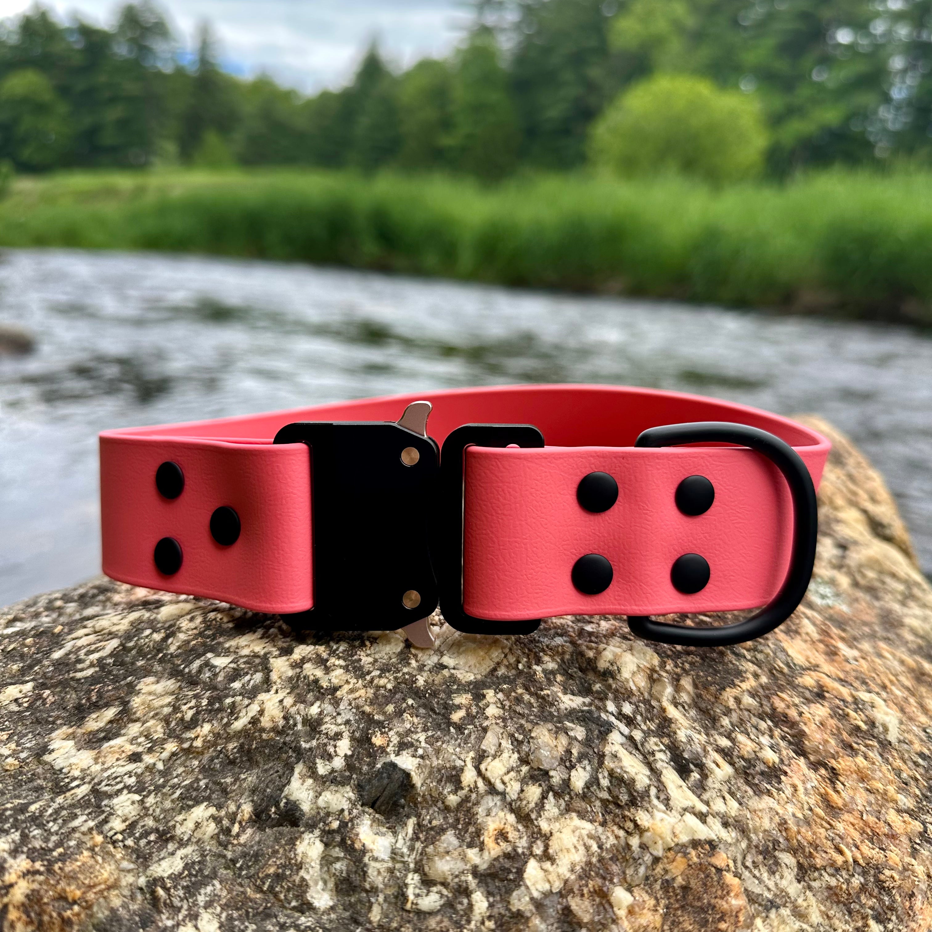echo collar