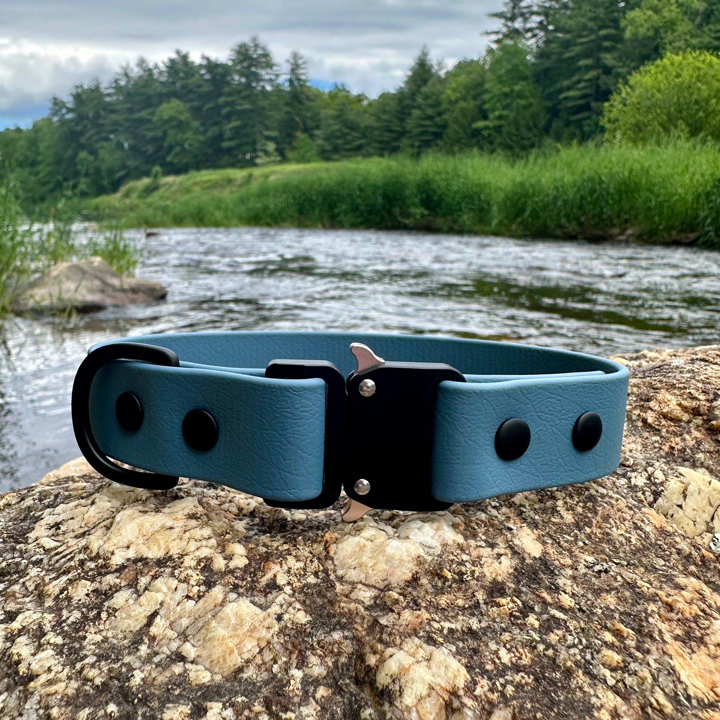 echo collar
