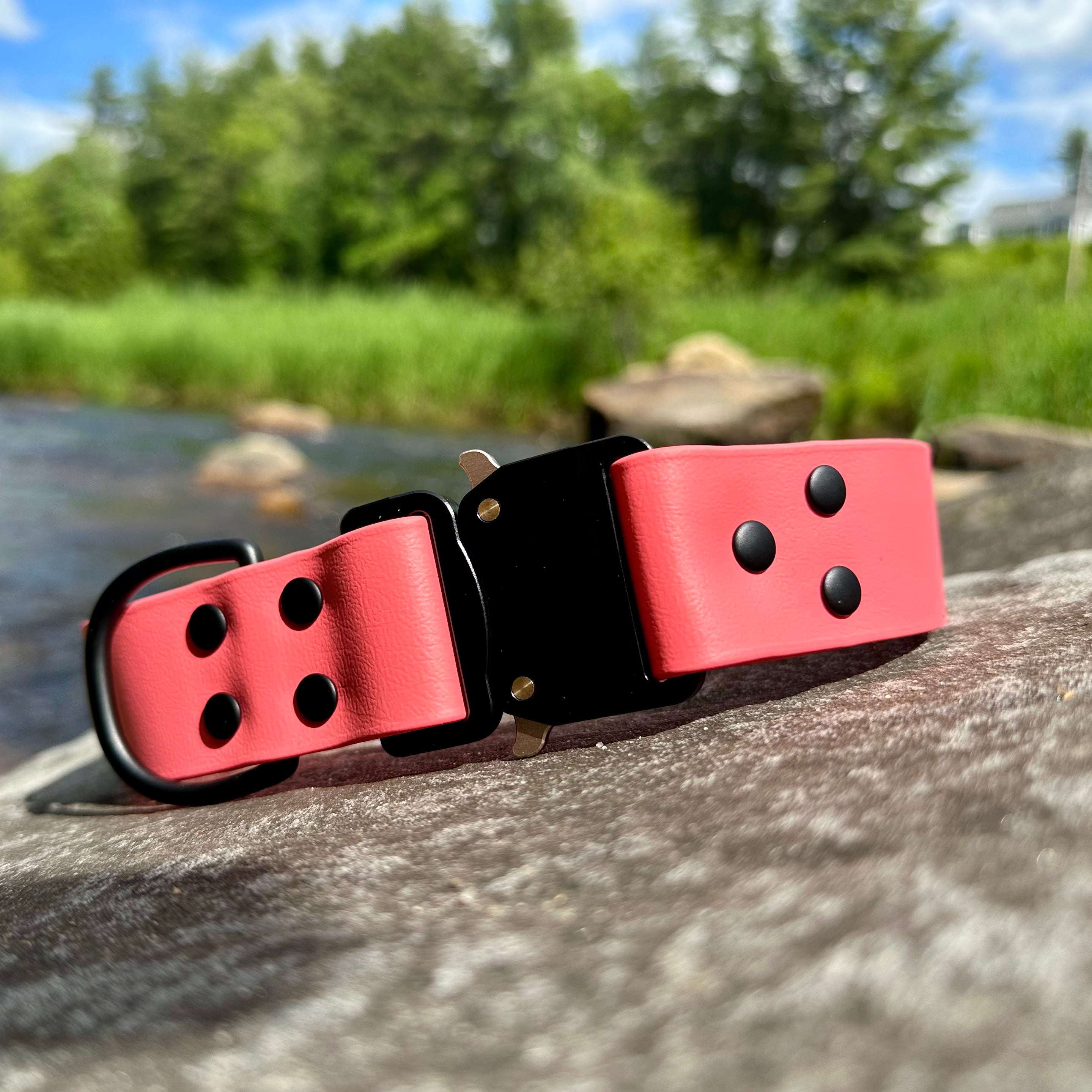 echo collar