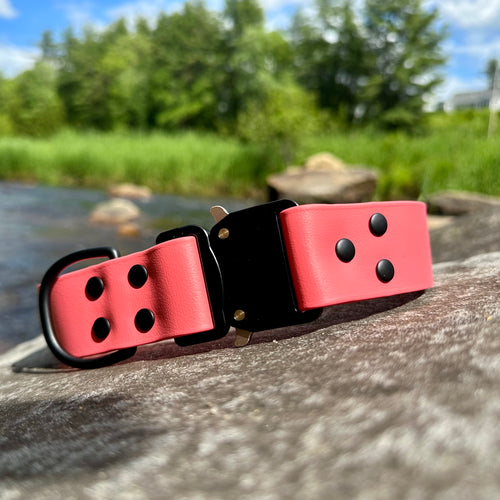 echo collar