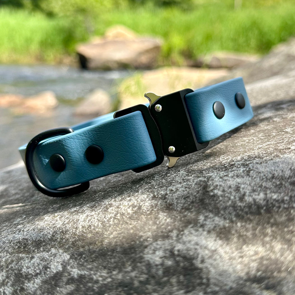 echo collar