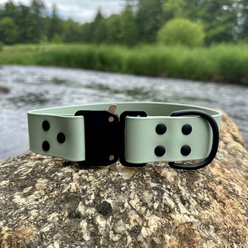 echo collar
